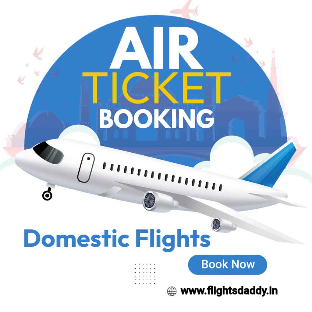 india domestic flights